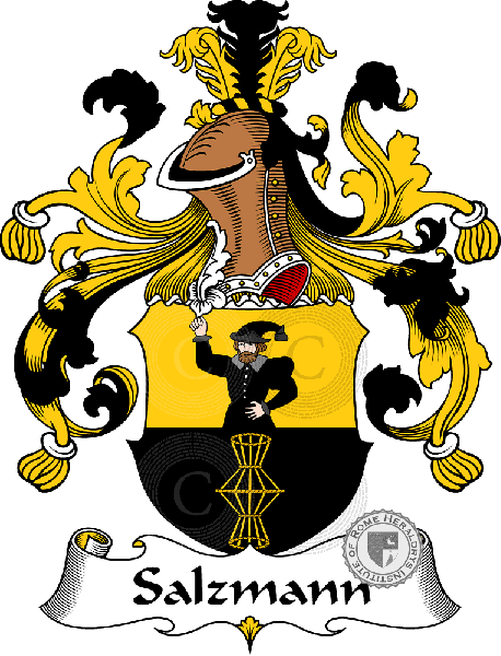Coat of arms of family Salzmann