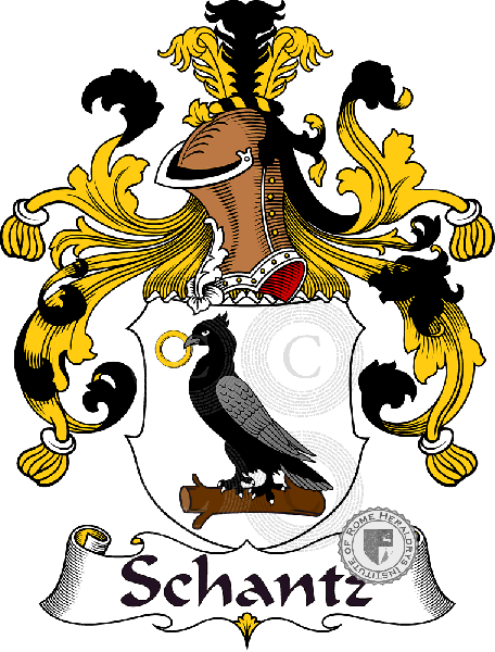 Coat of arms of family Schantz
