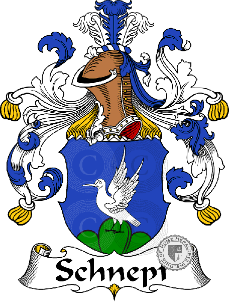 Coat of arms of family Schnepf