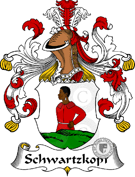Coat of arms of family Schwartzkopf