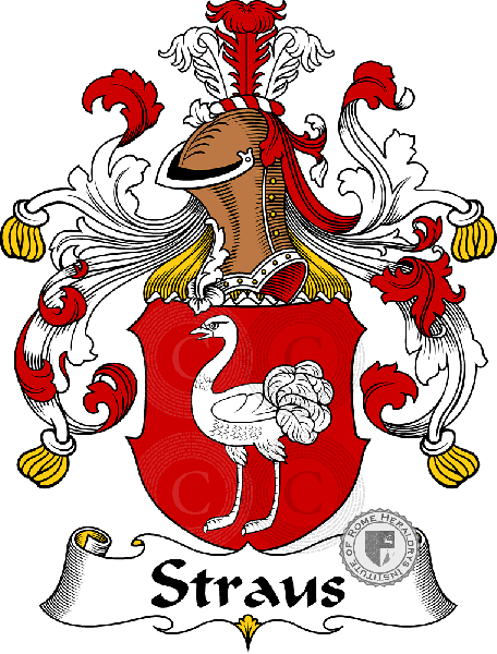 Coat of arms of family Straus