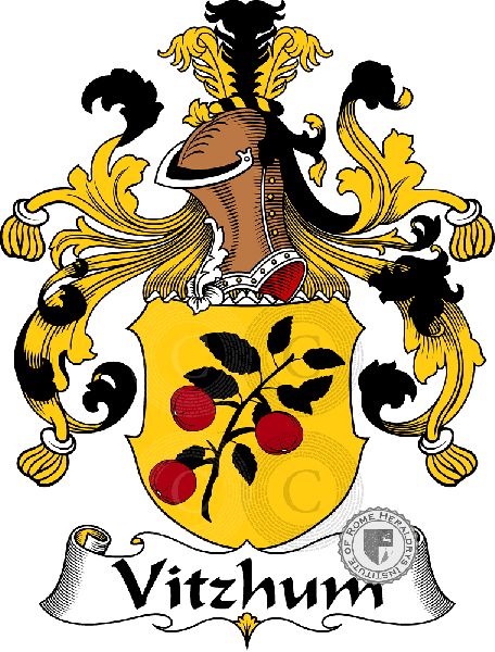 Coat of arms of family Vitzhum