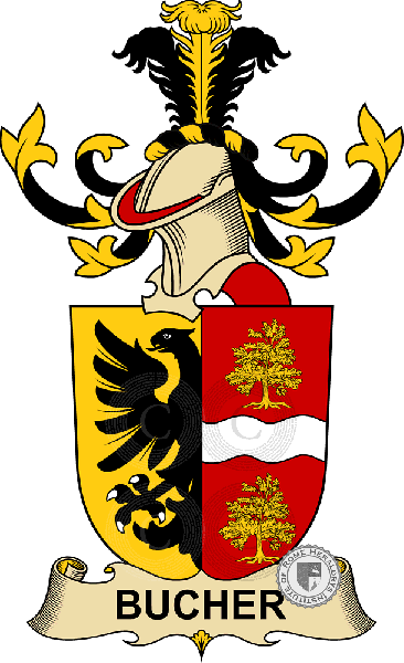 Coat of arms of family Bucher d