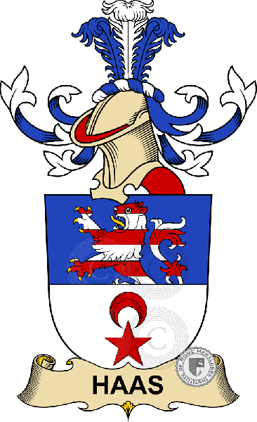 Escudo de la familia Haas (de Kattenburg)