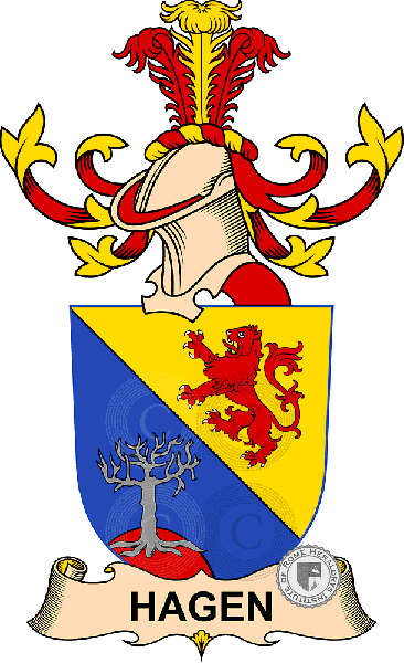 Coat of arms of family Hagen (de Türnberg)