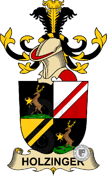 Coat of arms of family Holzinger