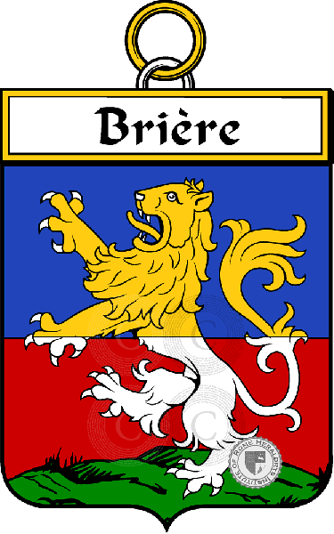 Coat of arms of family Brière