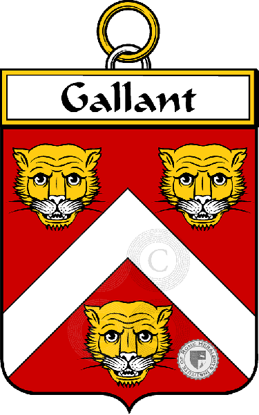 Coat of arms of family Gallant