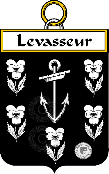 Coat of arms of family Levasseur (Vasseur le)