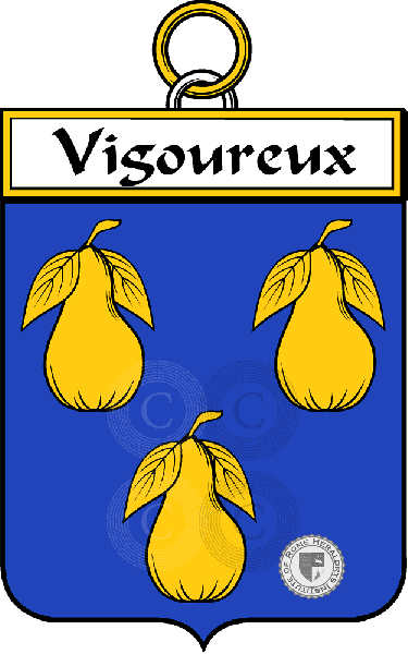 Coat of arms of family Vigoureux
