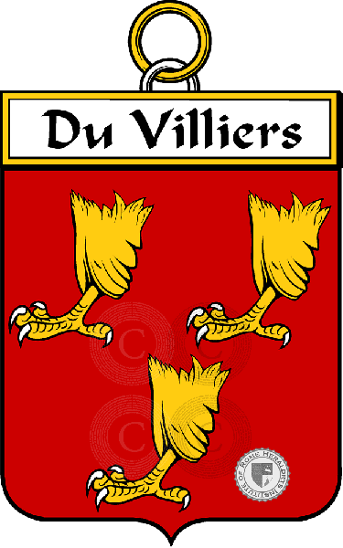 Coat of arms of family Du Villiers (Villiers du)
