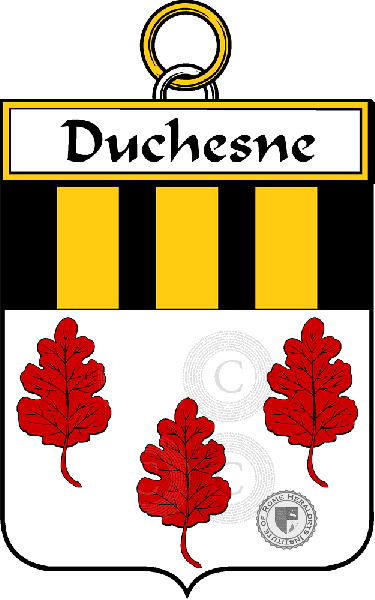 Coat of arms of family Duchesne (Chesne du)