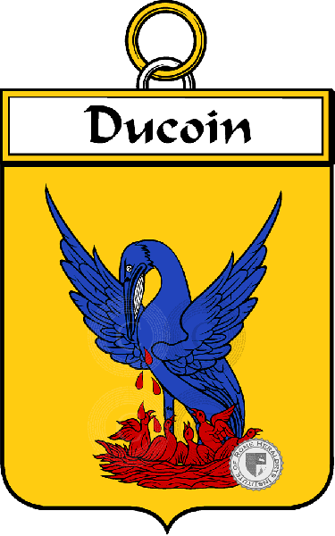 Brasão da família Ducoin (Coin du)