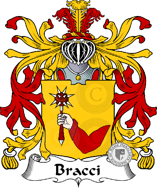 Coat of arms of family Bracci