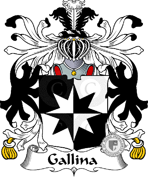 Coat of arms of family Gallina