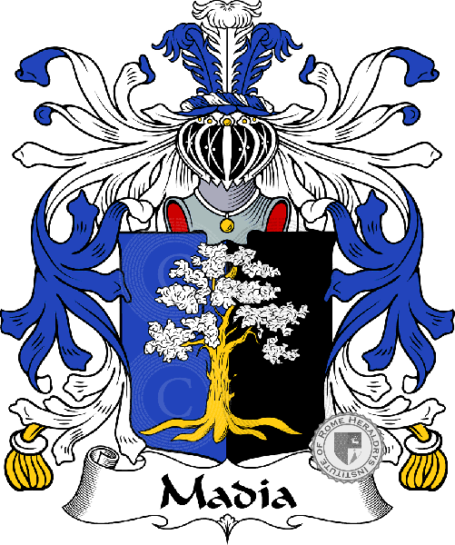 Escudo de la familia Madia