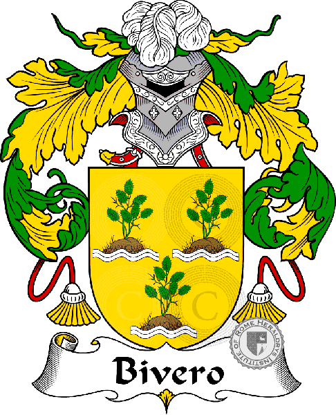 Coat of arms of family Bivero
