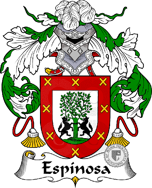 Coat of arms of family Espínosa II