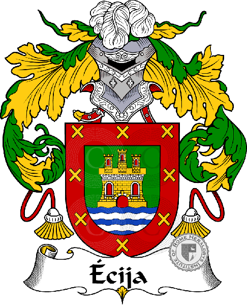 Coat of arms of family cija