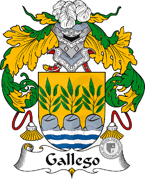 Brasão da família Gallego or Gallegos