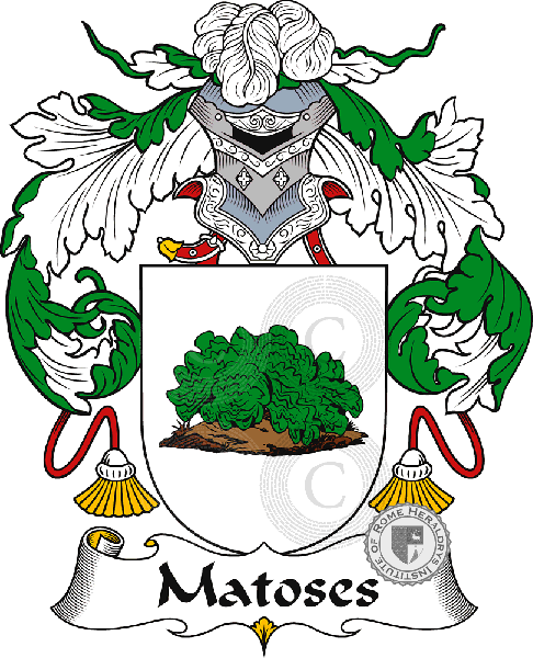 Coat of arms of family Matoses