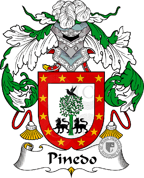 Coat of arms of family Pinedo