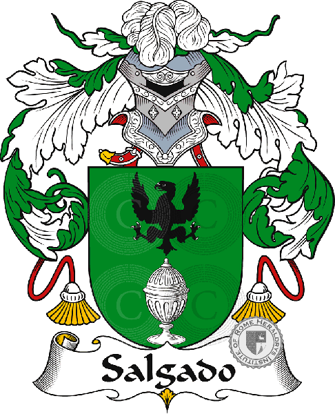 Coat of arms of family Salgado