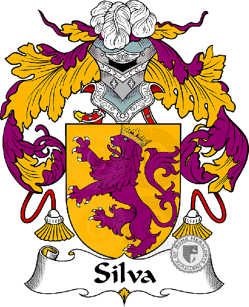 Wappen der Familie Silva or Da Silva