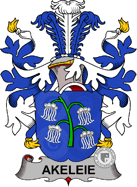 Coat of arms of family Akeleie