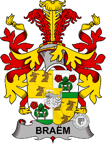 Coat of arms of family Braëm