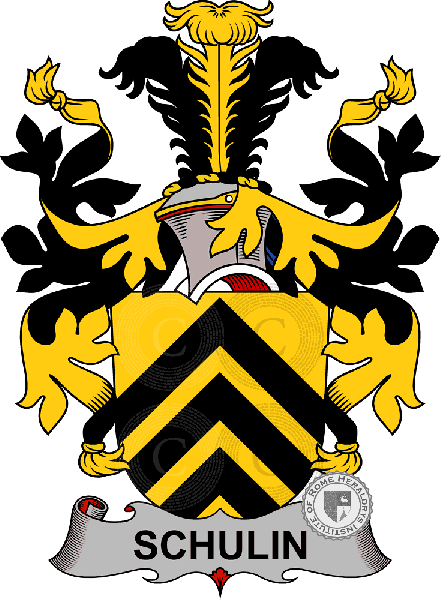Escudo de la familia Schulin