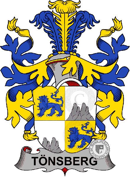 Coat of arms of family Tönsberg