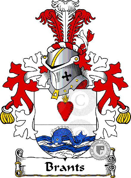 Coat of arms of family Brants