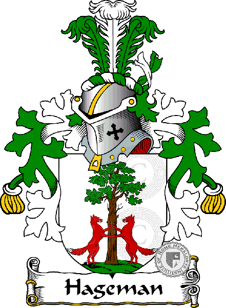 Coat of arms of family Hageman