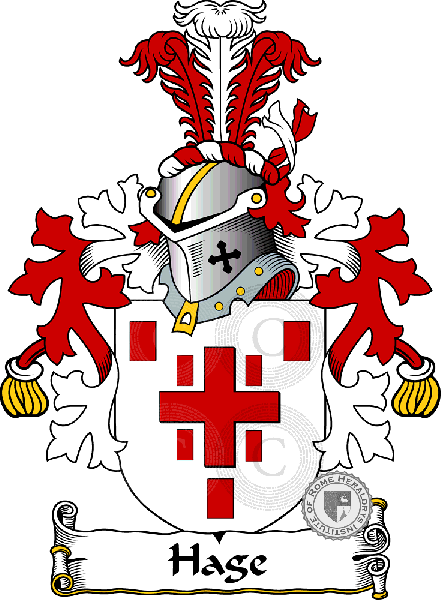 Coat of arms of family Hage