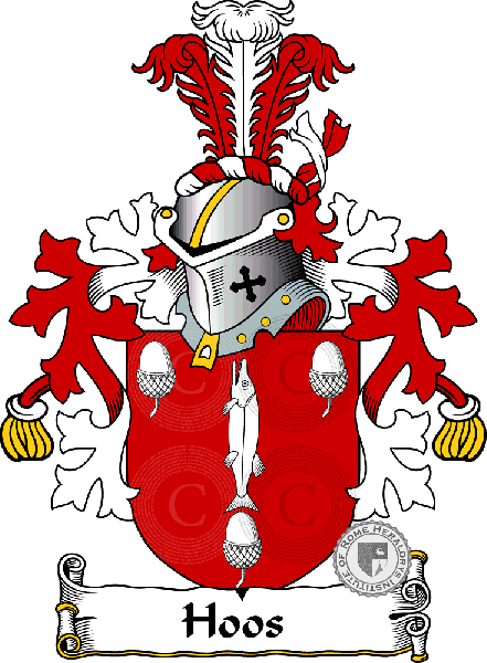Coat of arms of family Hoos