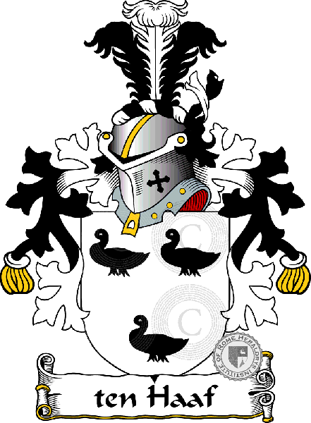 Coat of arms of family ten Haaf