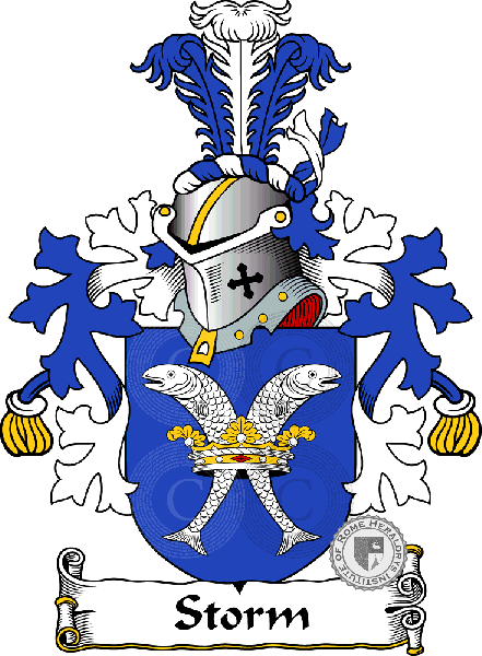 Coat of arms of family Storm