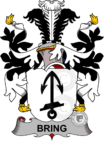 Coat of arms of family Bring