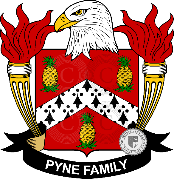 Coat of arms of family Pyne