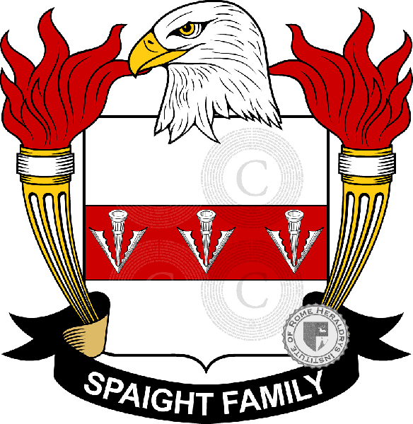 Brasão da família Spaight