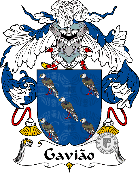 Escudo de la familia Gavião