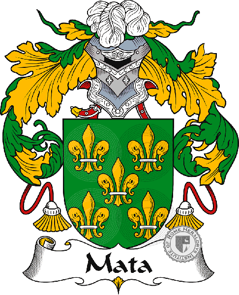 Coat of arms of family Mata or Mota