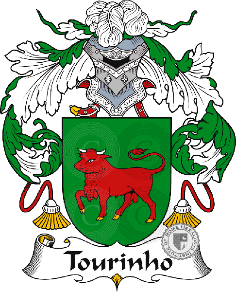 Coat of arms of family Tourinho