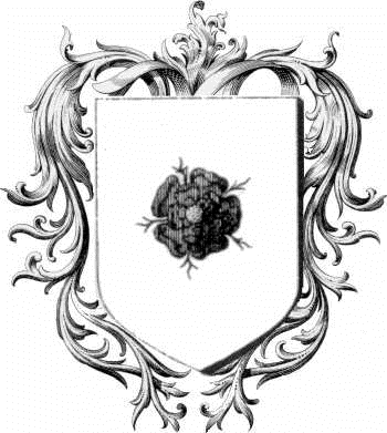 Coat of arms of family Fleche