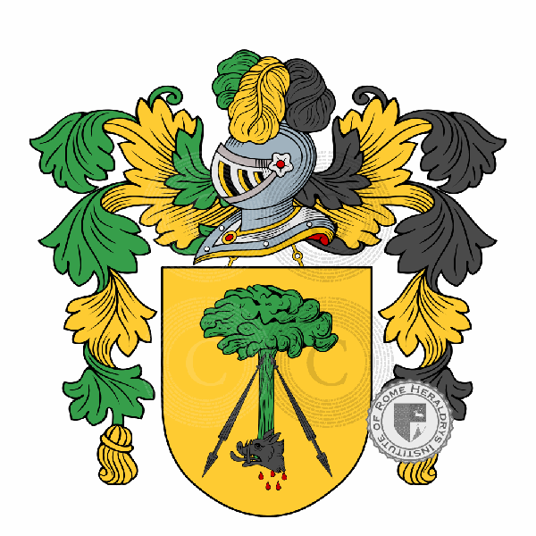 Coat of arms of family Figueredo