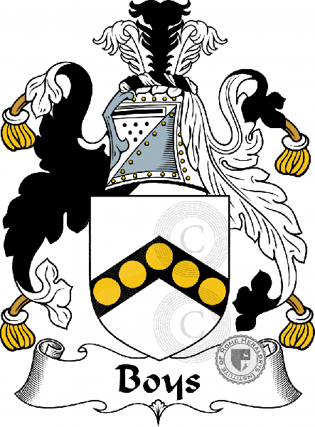 Wappen der Familie Boys