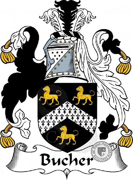 Coat of arms of family Bucher