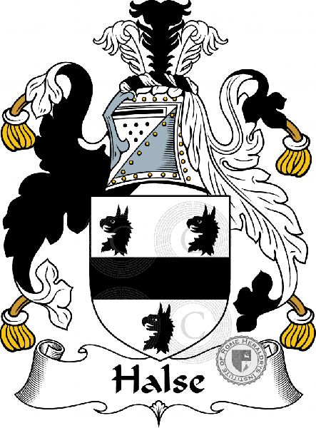 Coat of arms of family Halse