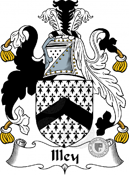 Coat of arms of family Illey